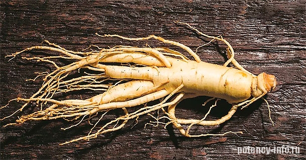 Корень женьшеня