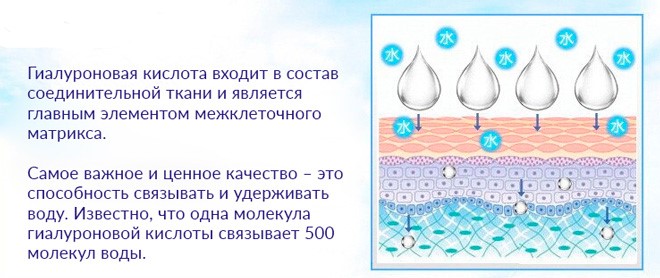 гиалуроновая кислота