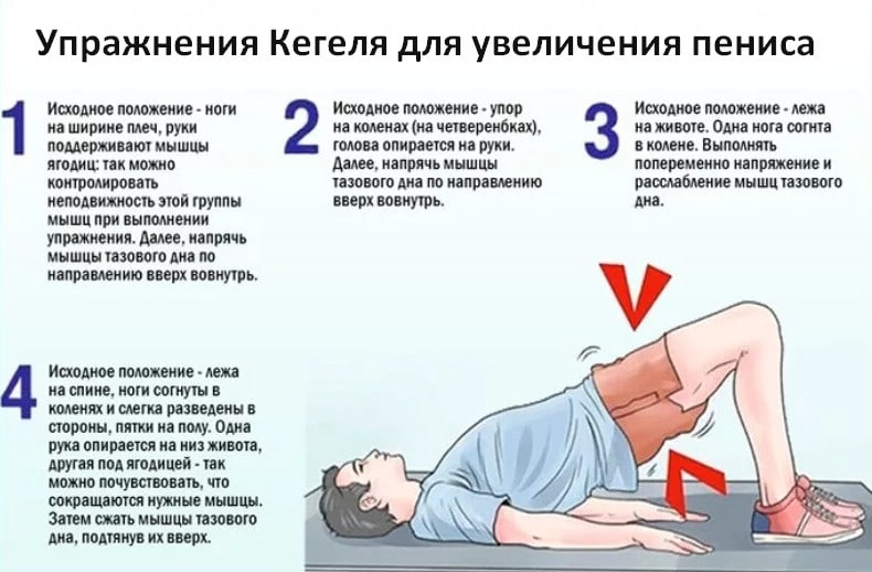 Лучшие упражнения Кегеля для увеличения члена