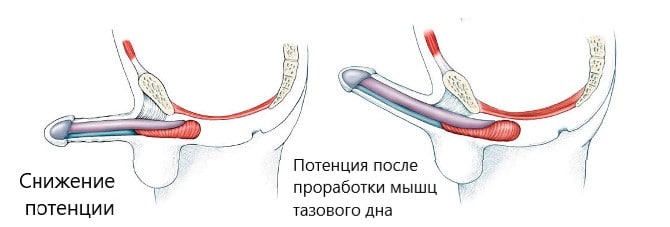 Потенция