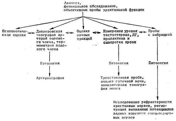 Способы диагностики эректильной дисфункции