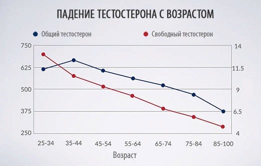 Возрастное содержание тестостерона в крови мужчин